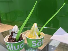 -Salud撒露欧洲冻酸奶(蓝色港湾店)