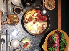 -大龙燚·旷野鲜火锅(广州首店)