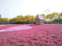 -石家庄市植物园