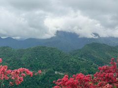 -岳西天峡风景区
