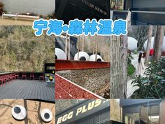 -宁海森林温泉