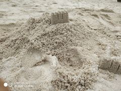 -大宁郁金香公园-停车场