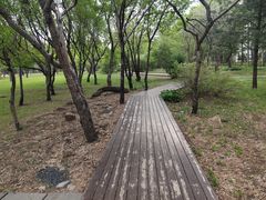 -长春公园(普阳街道)