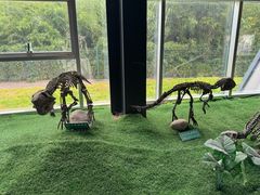 -诸城市恐龙博物馆