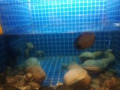 -徽三说·土徽菜·中国徽菜连锁品牌(一中店)