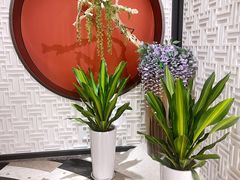 -圆苑(金茂店)
