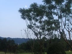 -成都蒲江花样年福朋喜来登度假酒店·宜客乐西餐厅