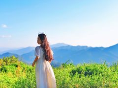 -武陵山森林公园