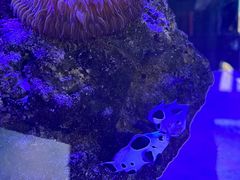 -海合安武汉极地海洋公园