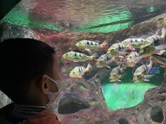 -常州海昌海洋探索馆