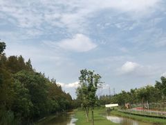 -上海长兴岛郊野公园