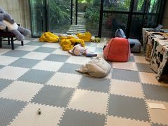 -成都保利公园皇冠假日酒店(熊猫基地店)