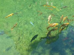 -雁荡山风景名胜区-小龙湫