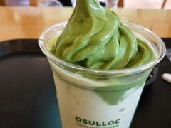 -雪绿茶博物馆