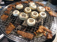 蜜汁猪排-吉力烤鳗