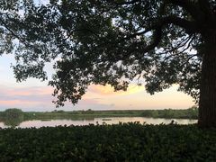 -滨海高尔夫俱乐部