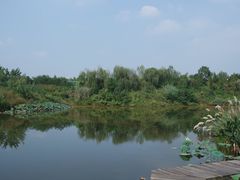 -白鹭湾湿地公园