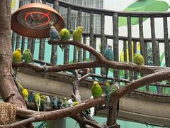-正佳雨林生态植物园