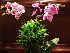 -洛阳宴·洛阳菜(南昌路店)