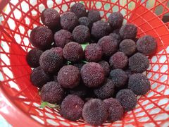 -蟹肉煲蟹肉(阊胥路店)