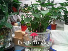 android_upload_pic-秦美花卉(天朗·莱茵小城2期店)