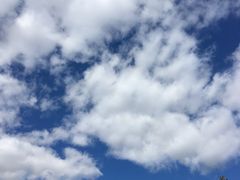 -哈尔滨太平国际机场