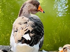 -金庭庄园酒店-停车场