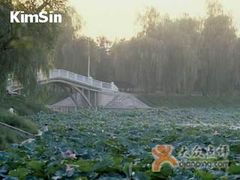 -紫竹院公园冰场