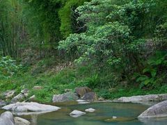 -广州白江湖森林公园