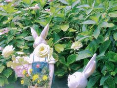 -共青国家森林公园-售票处