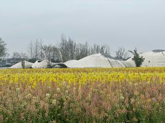 -中国天府农业博览园