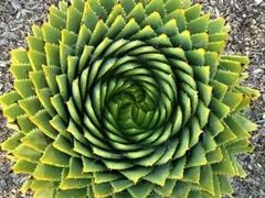 -兰陵国家农业公园