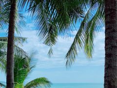 -三亚海棠湾万丽度假酒店