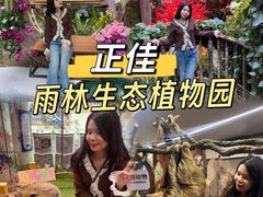 -正佳雨林生态植物园