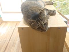 -猫的天空之城概念书店(杭州南宋御街店)