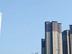 -成都动物园