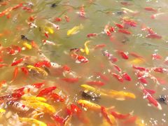 -泰安地下龙宫景区