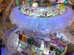 -汤姆熊欢乐世界(大连恒隆广场店)