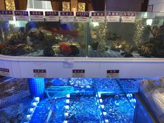 水产区-金苑海鲜酒家(来魅力店)