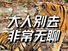 -深圳野生动物园