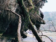 -三门海