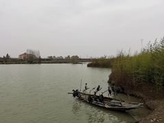 -池杉湖湿地公园