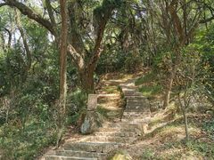 -青芝山风景名胜区