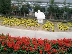 -广东花都香草世界旅游度假区