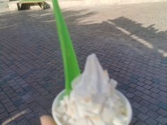 -Salud撒露欧洲冻酸奶(蓝色港湾店)