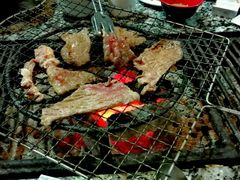 -蘑统田下·野生菌火锅