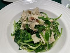 -老吉堂上海本帮菜(望京万象汇店)
