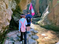 -牛背梁国家森林公园