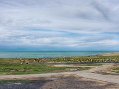 -青海湖国家重点风景名胜区
