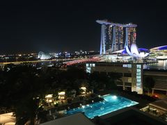 -新加坡文华东方酒店